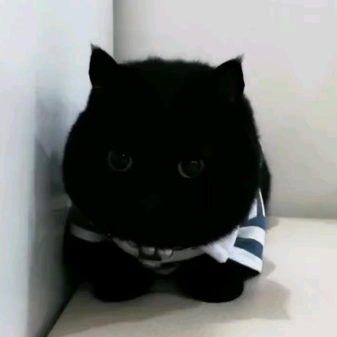 Yw