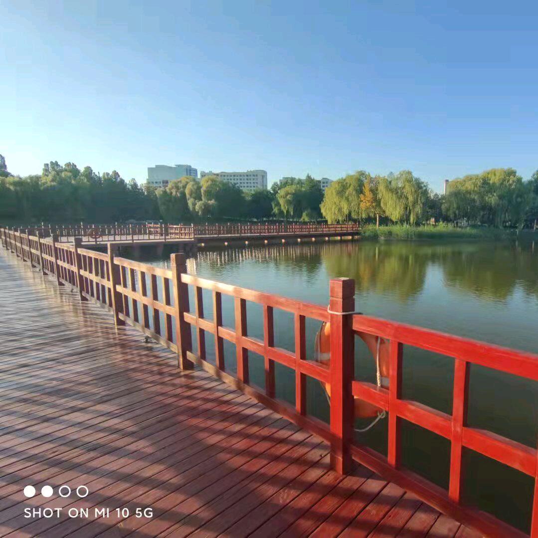 似水流年
