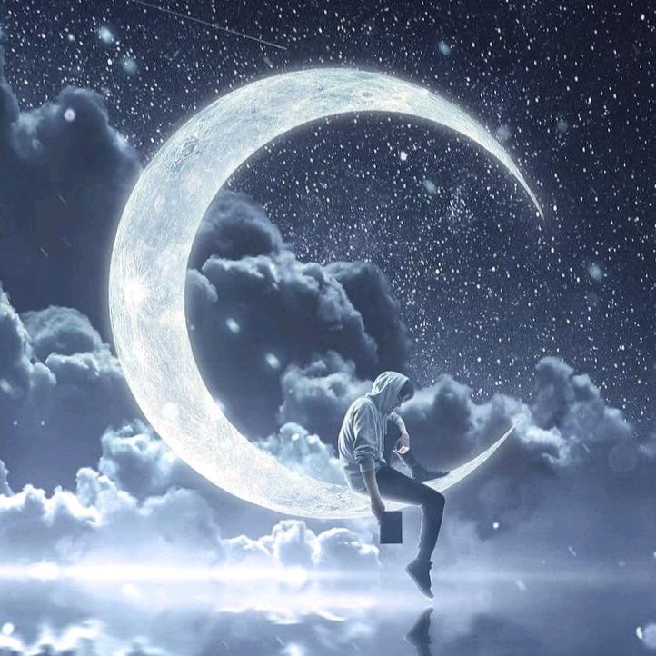 Amo゛蓝桉