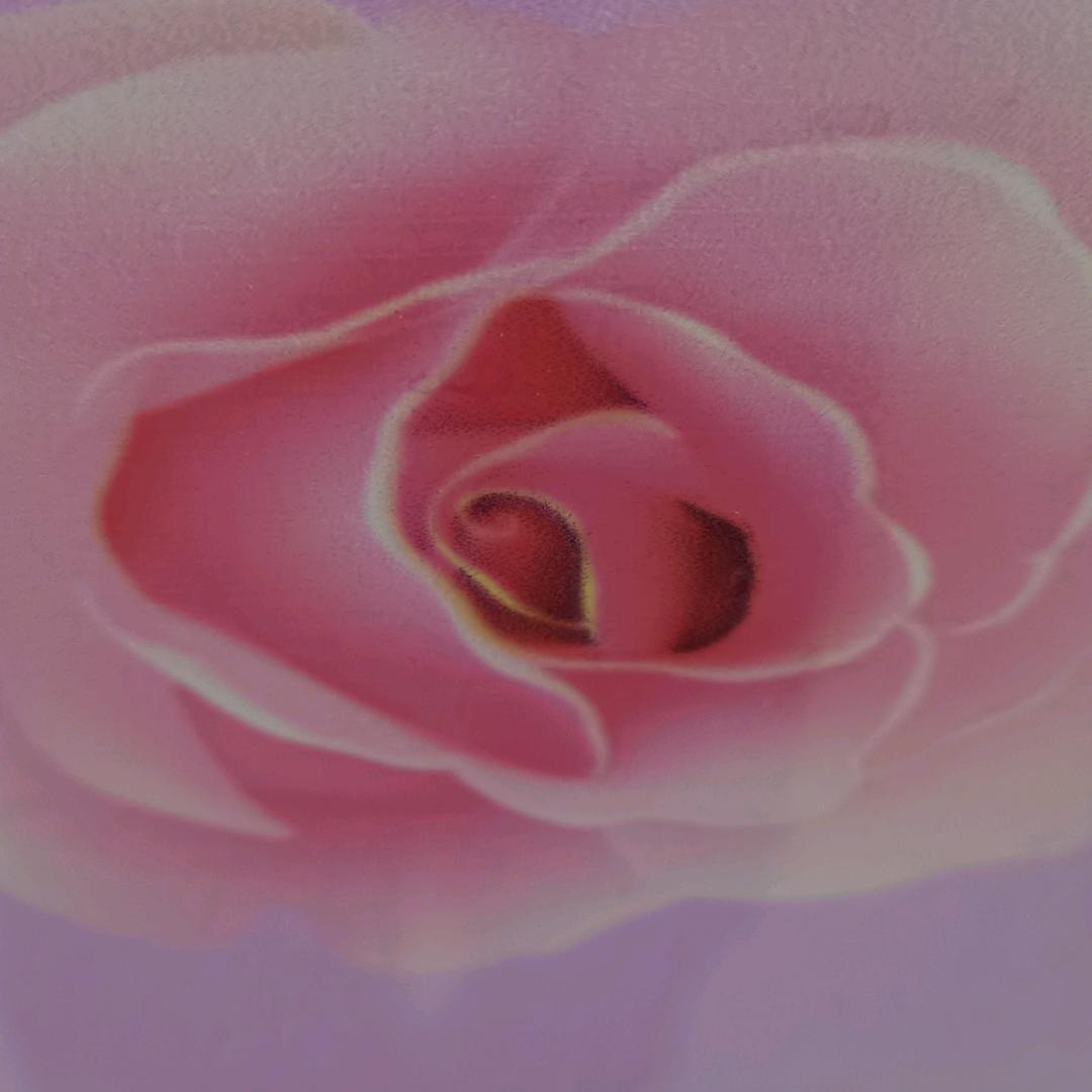 小瓜