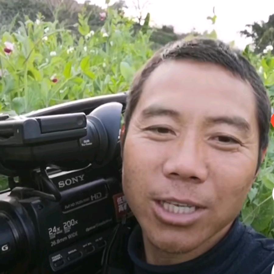 山歌大玩