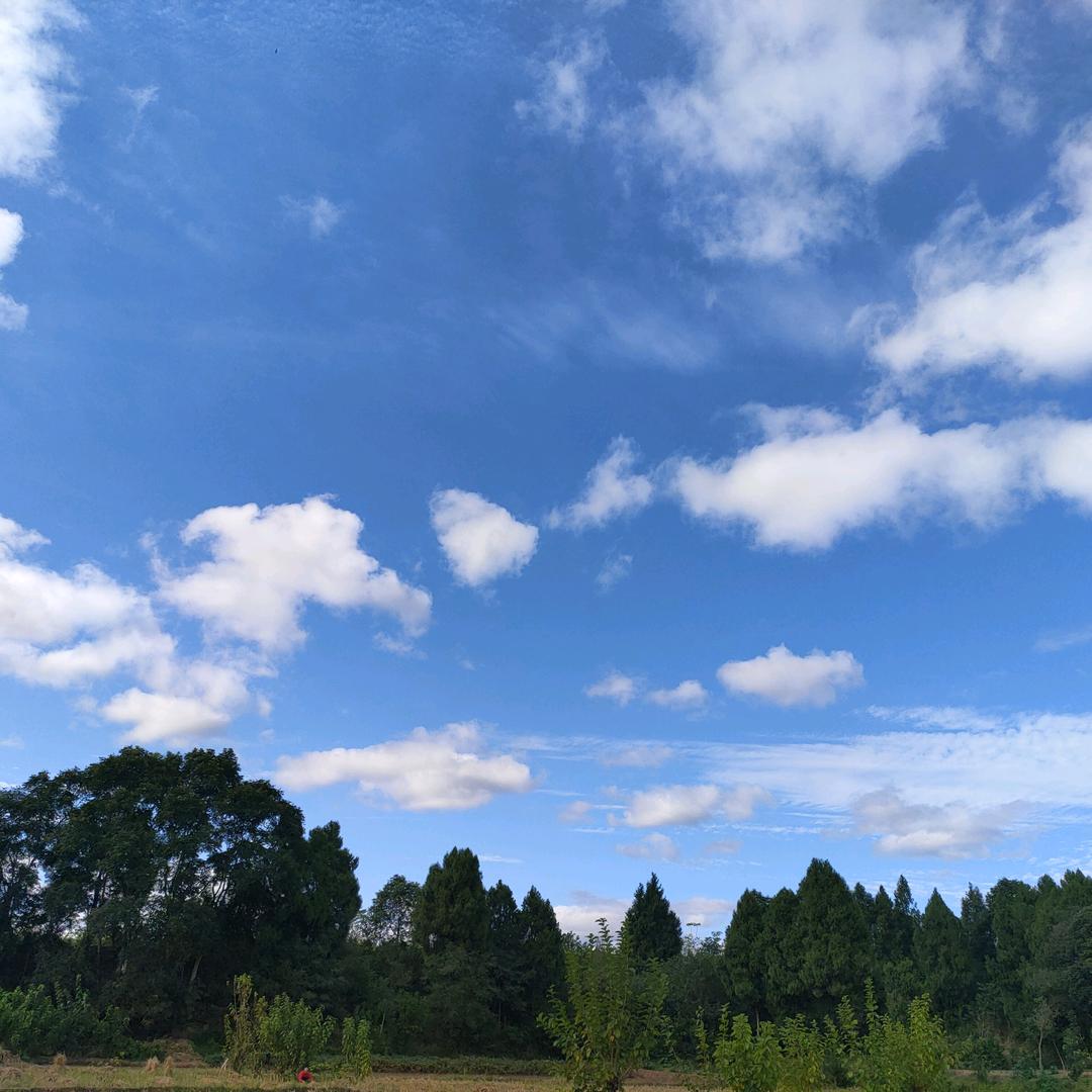 中年少女《请勿连赞》