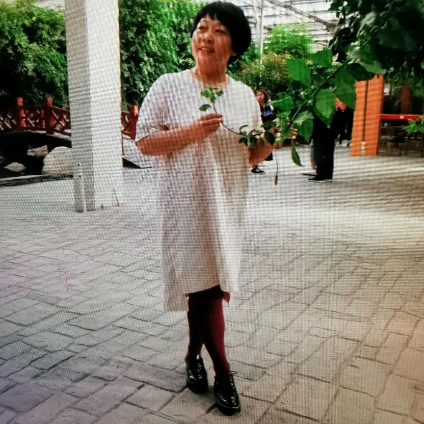 昆仑山上的灵芝草