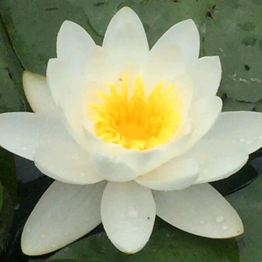 🌞太阳何须畏惧光～