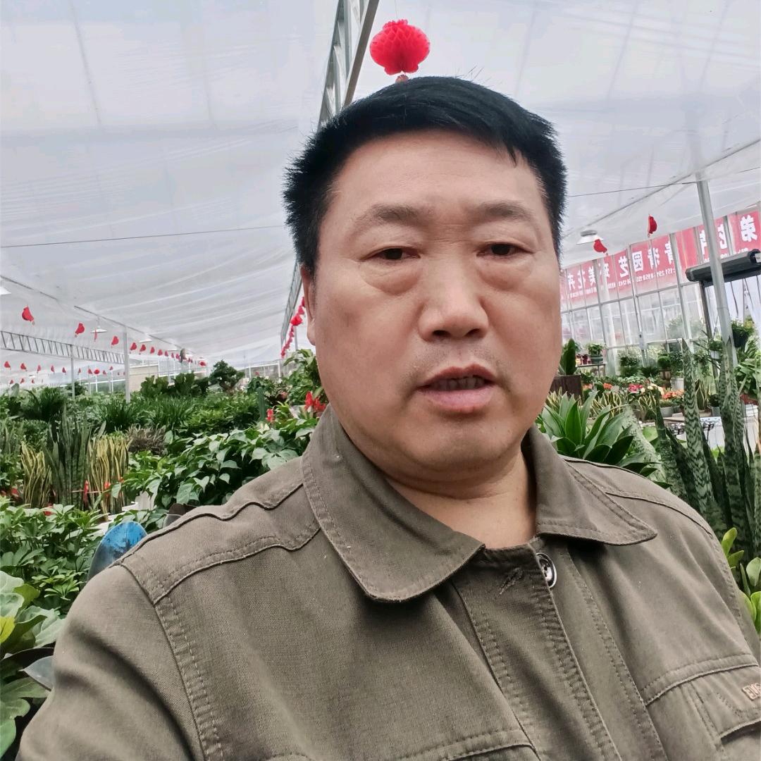 胡师木业