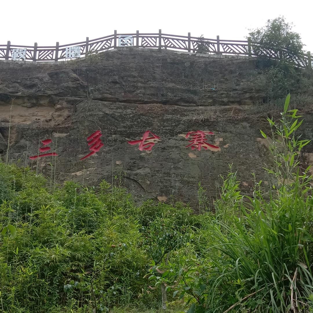 驴的记忆