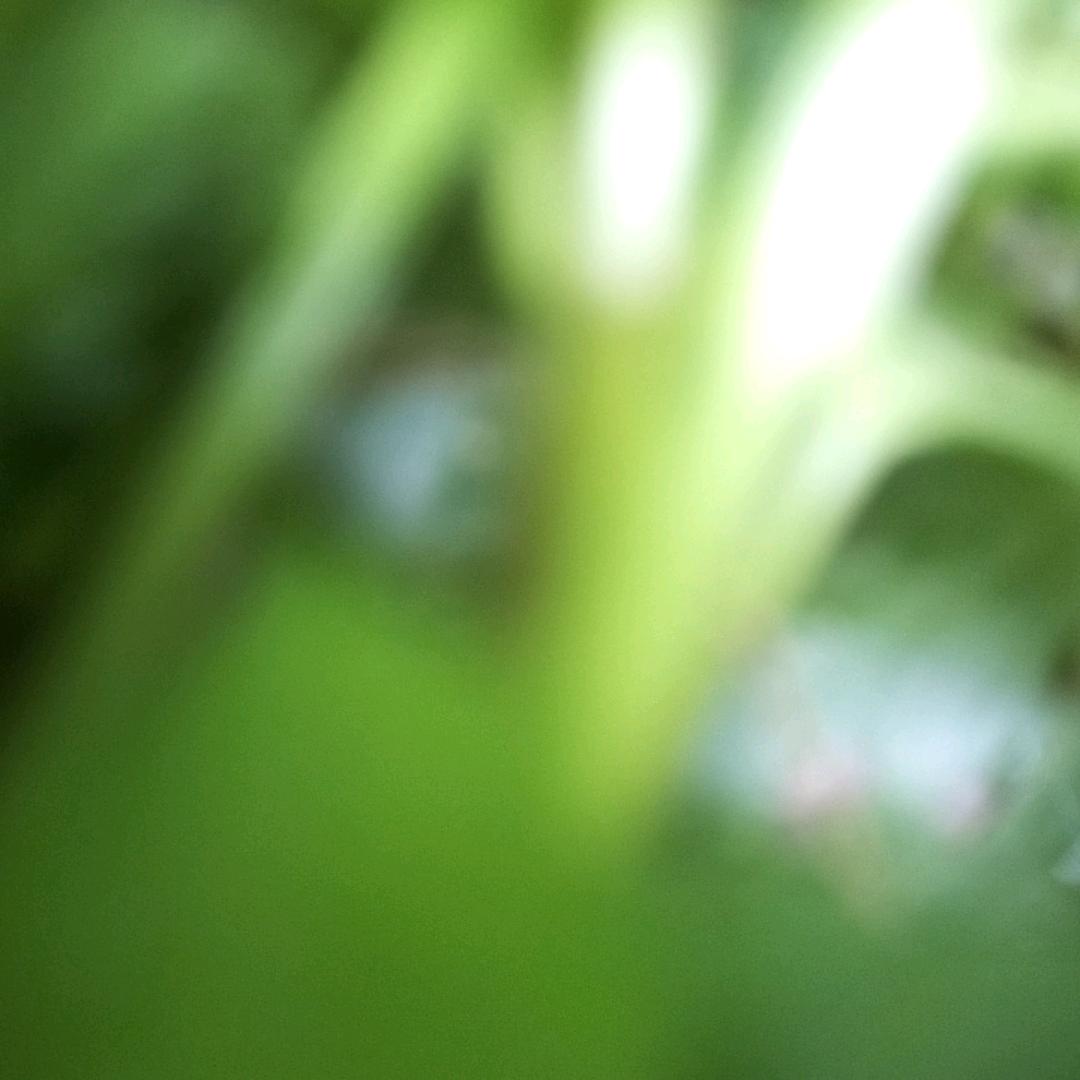 没事就睡觉