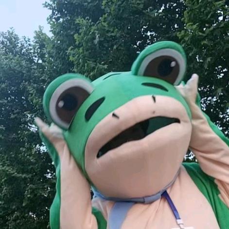 一只单身蛙🐸