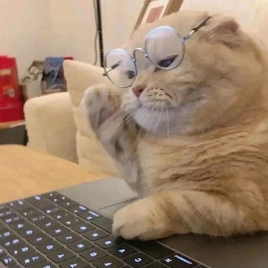 ☀️太阳当空赵🌞