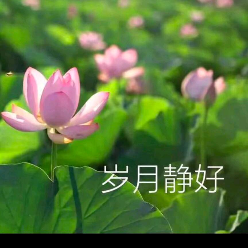 万事如意