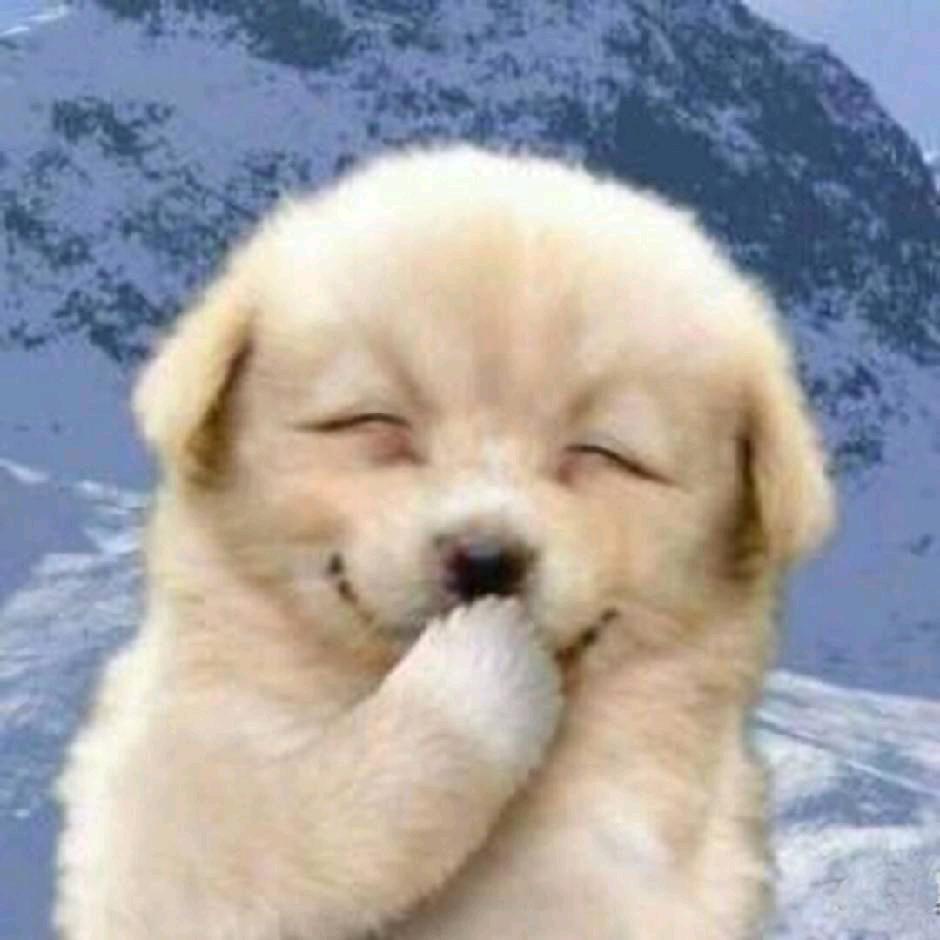 一只小明