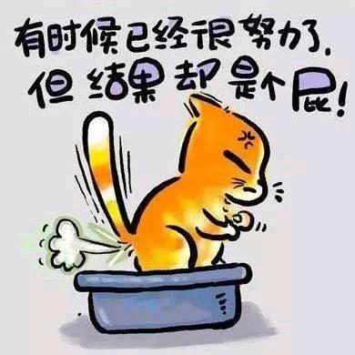 @²⁰²2ꦿ初始꧔ꦿ℘⸙