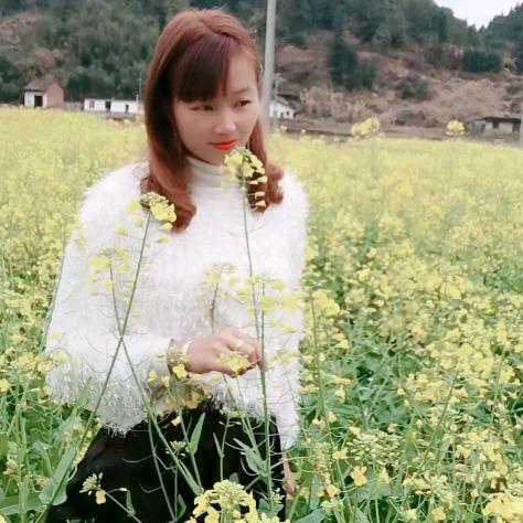 秋伊纯