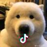 张文艺