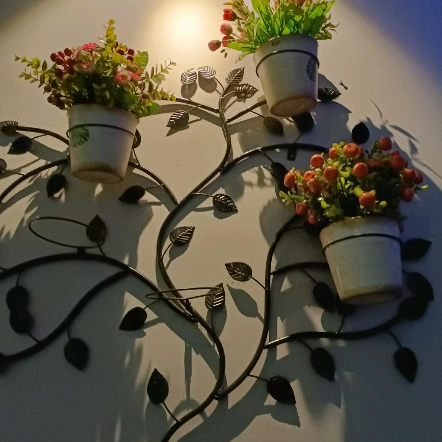 🌹🌹🌹🐑🐑我有我喜欢的人