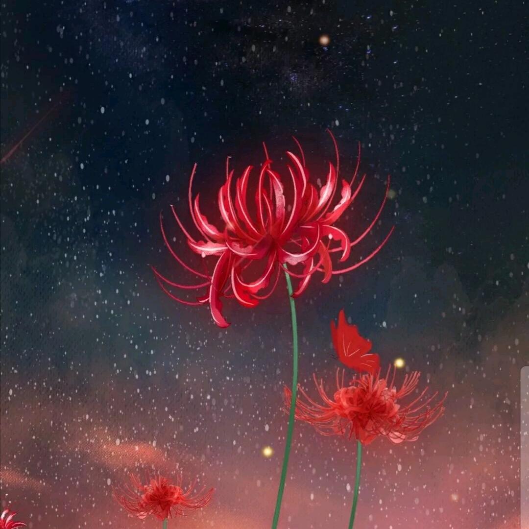 灵魂摆渡、彼岸花开