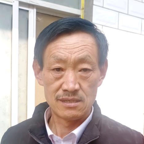 光头强哥