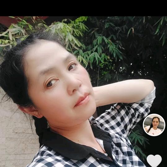 刘正菊