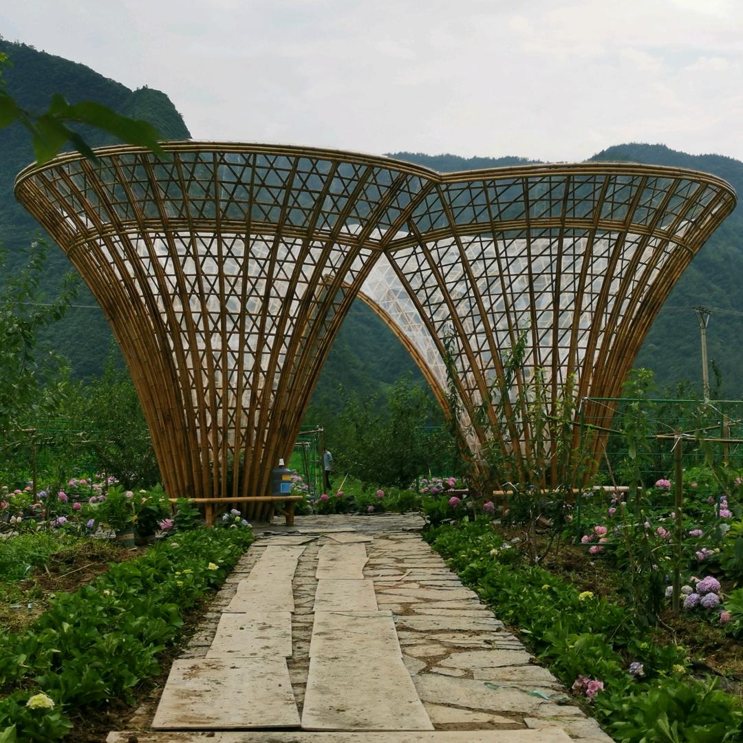 孤芳不自赏，独宠你一人