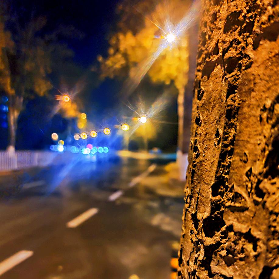 农职院~校园网服务中心