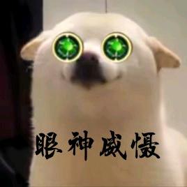 正在努力的小肥鱼