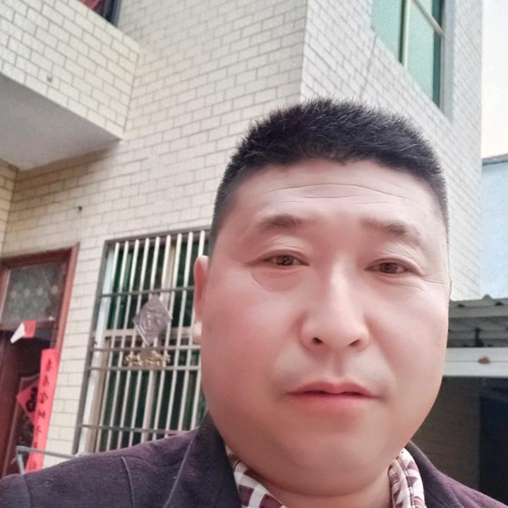 龙