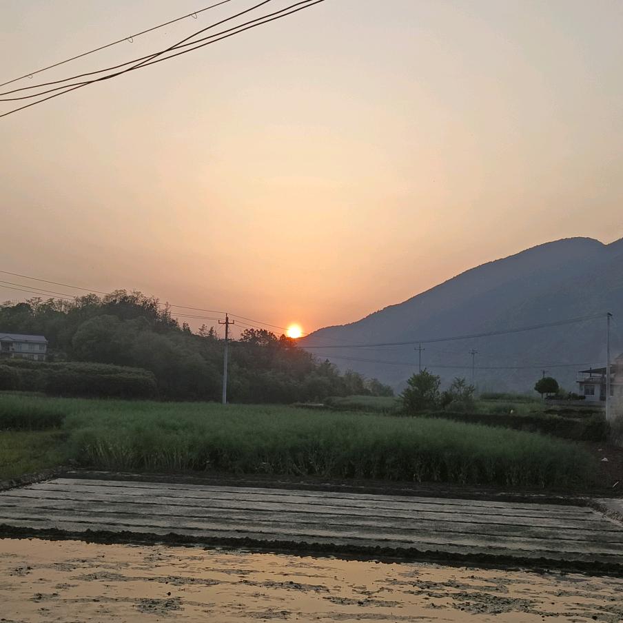 叁十🤙