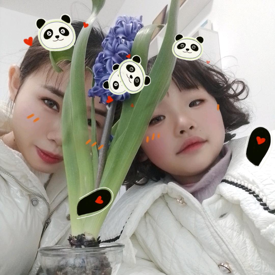 云岩区宸汐美容店