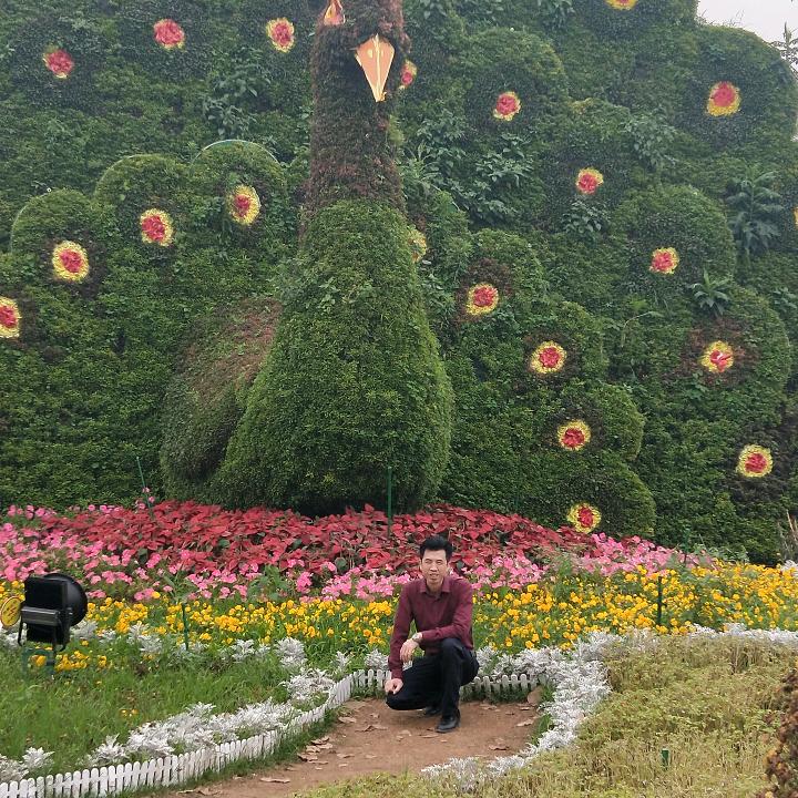 南陳梦飛