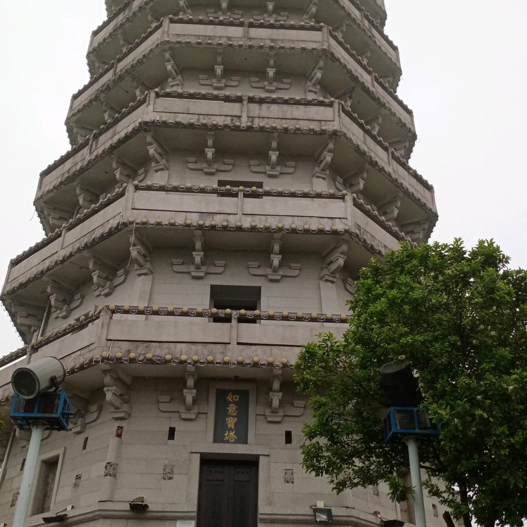 宝弟