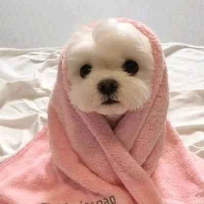 暖玉生淮