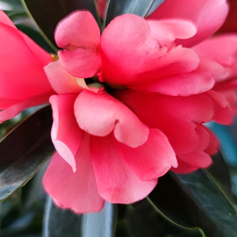 🌺自信就是气质💃