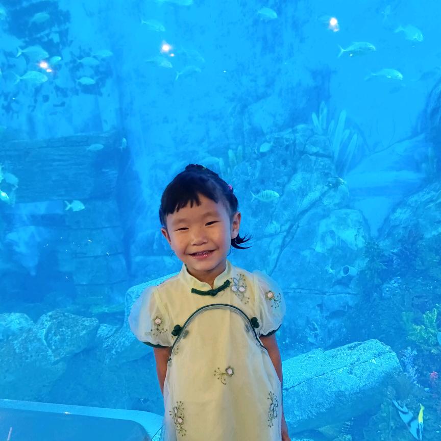 ✔长松✔