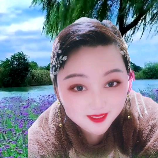 🌺红梅🌺