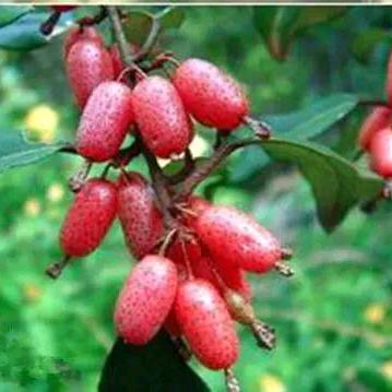 小陈(人心向善)