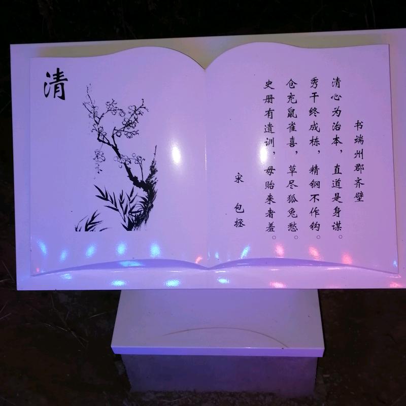 有志青年