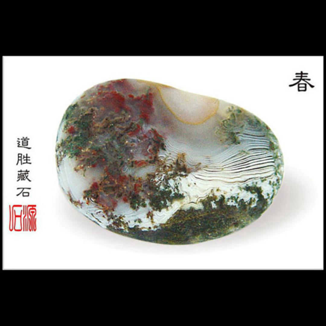 小宝子
