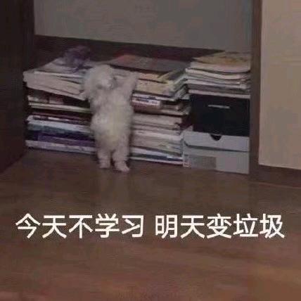 晴天浅梦