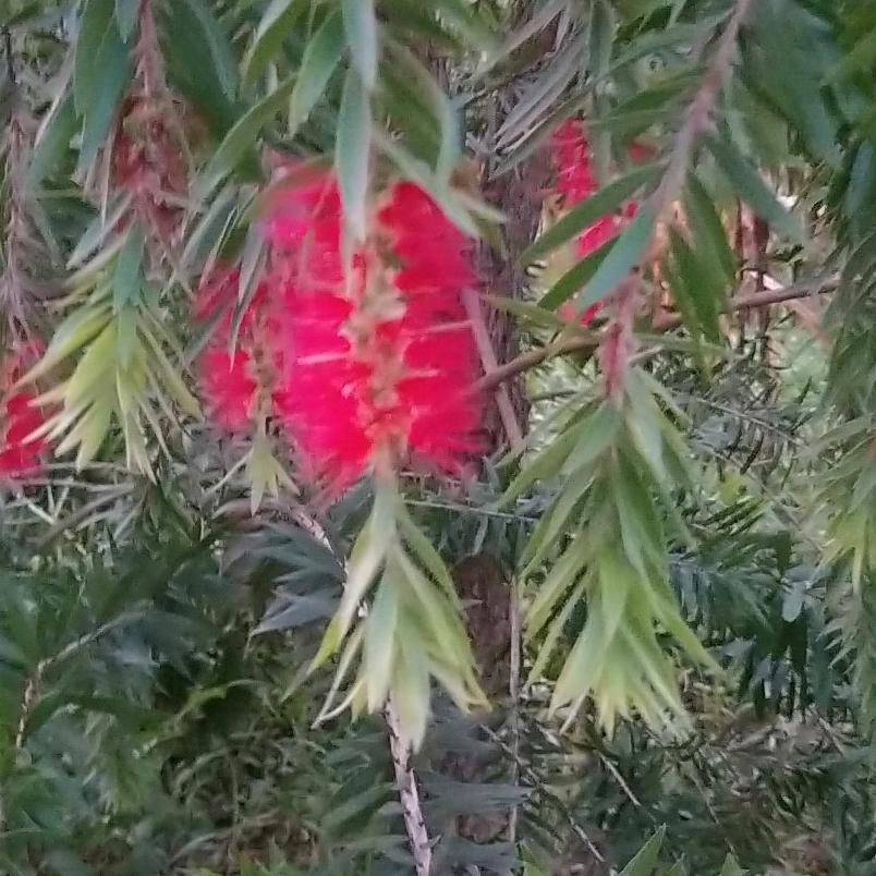用户6303672541440