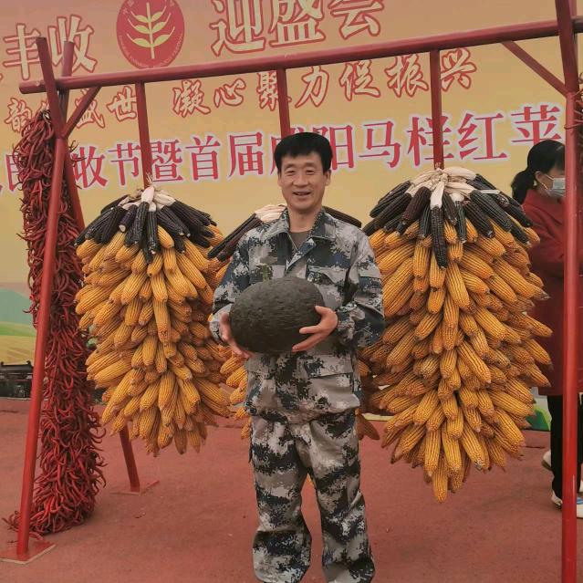 奋斗