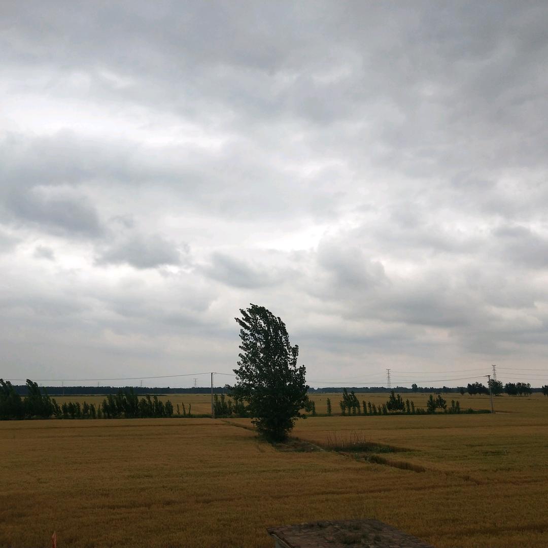 自然和弦~Agriculture