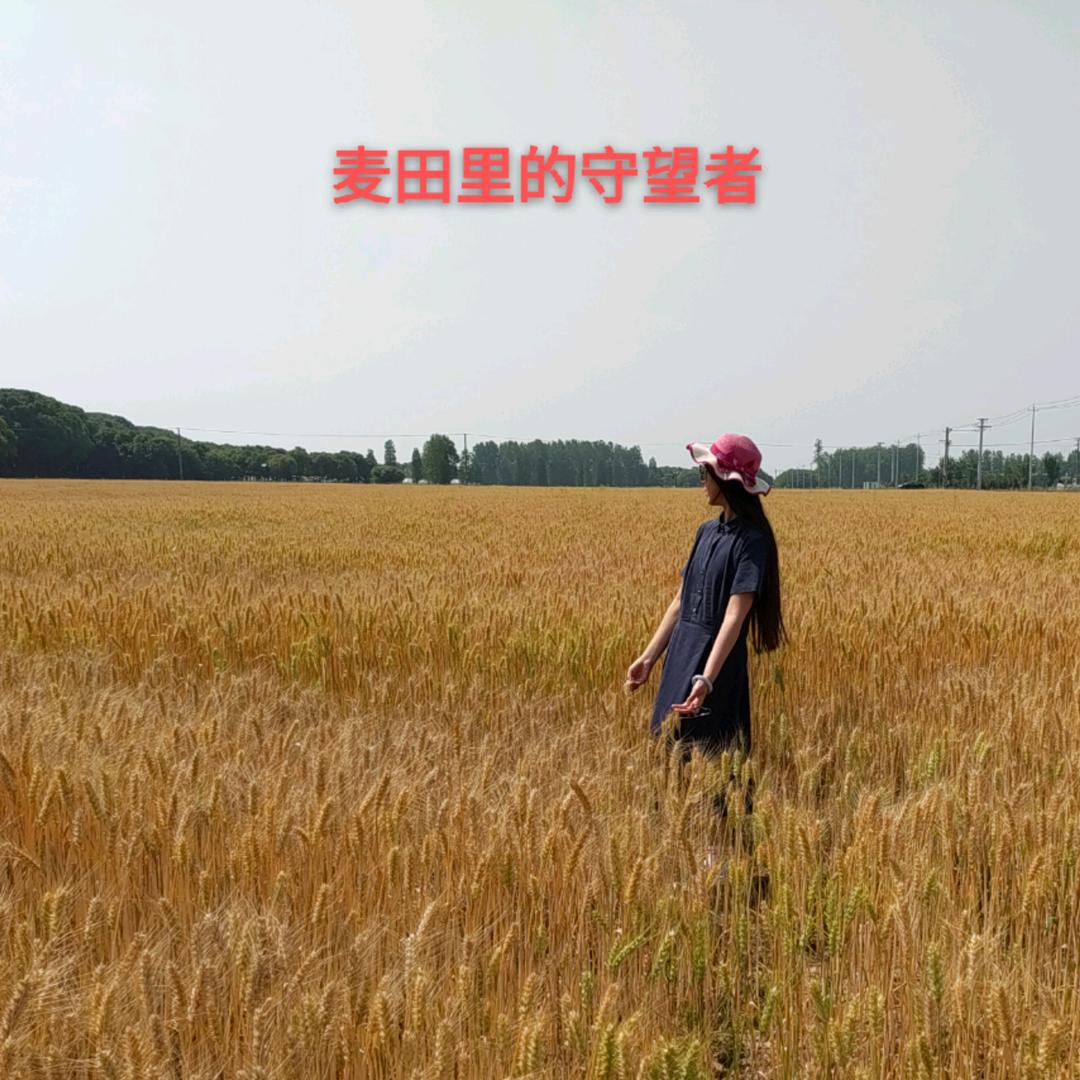 小神童教育咨询无锡有限公司