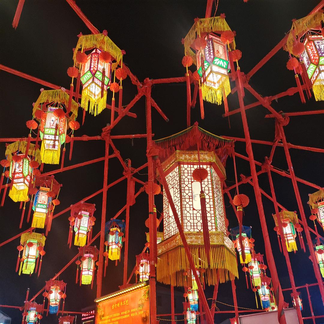 羊肚菌