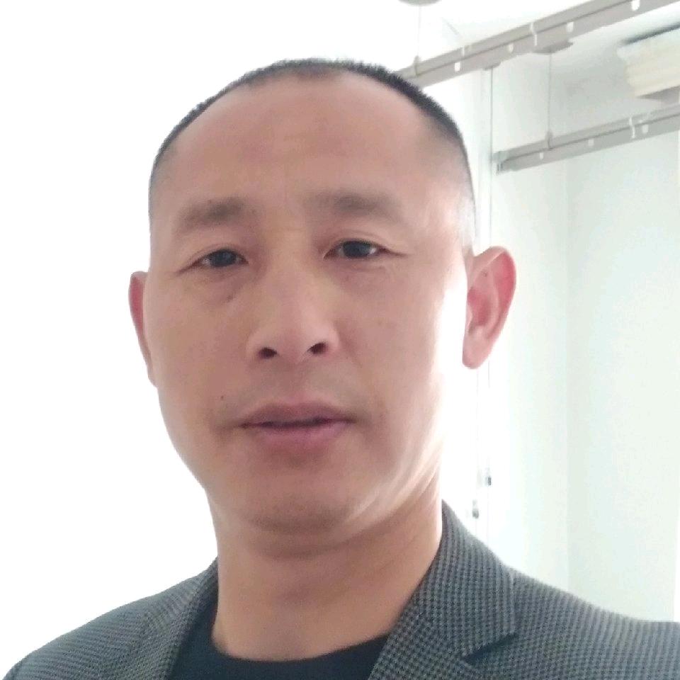风中一匹马
