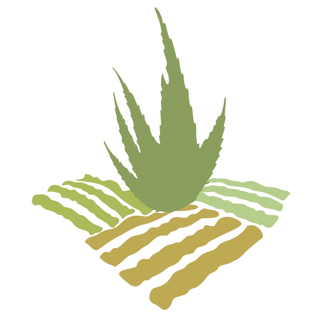 万绿生鲜芦荟基地