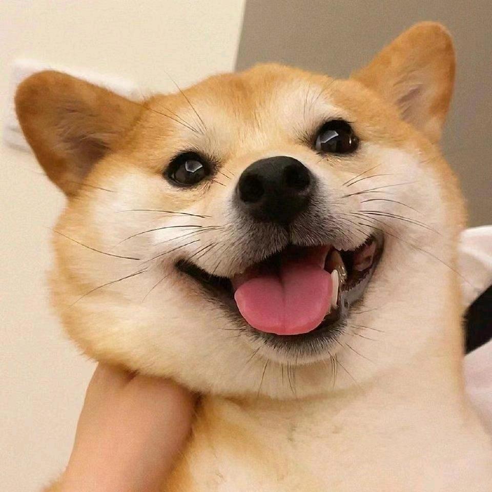 四月！