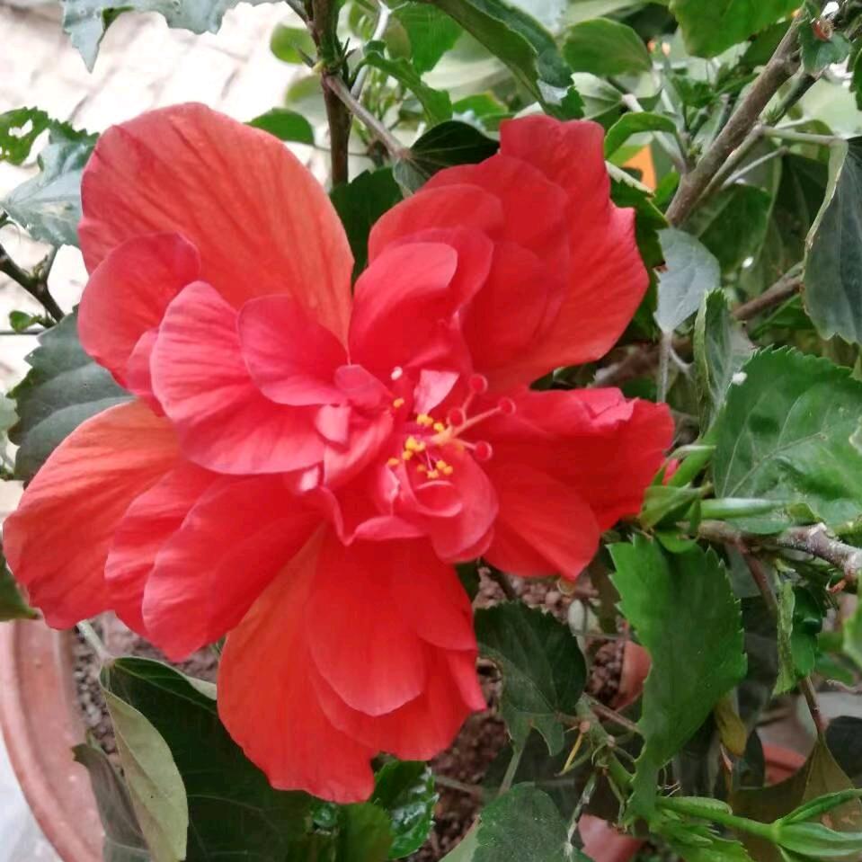 一丨