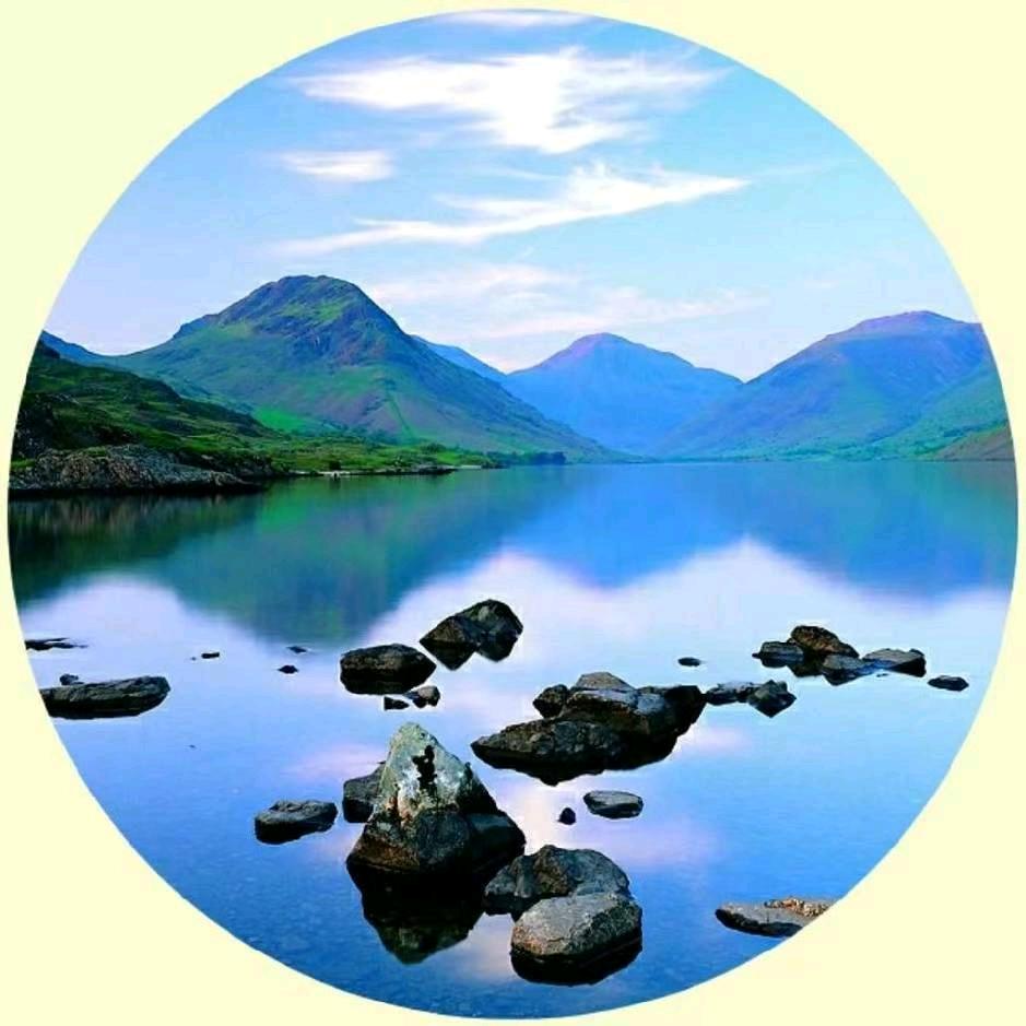 种花家的花农…山东临朐福志花卉苗木服务站