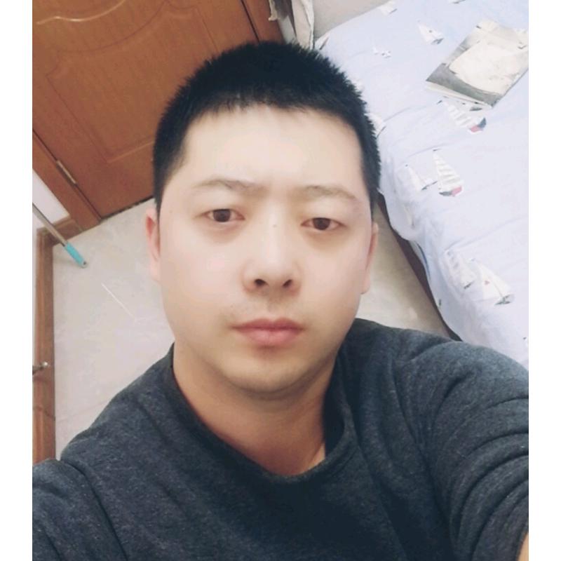 王十三鹦鹉