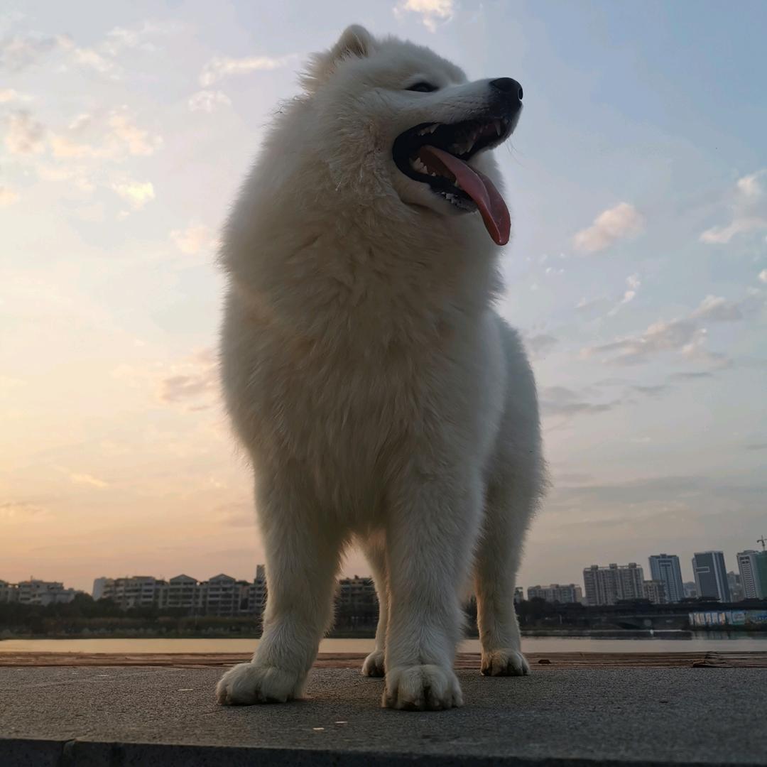 空白
